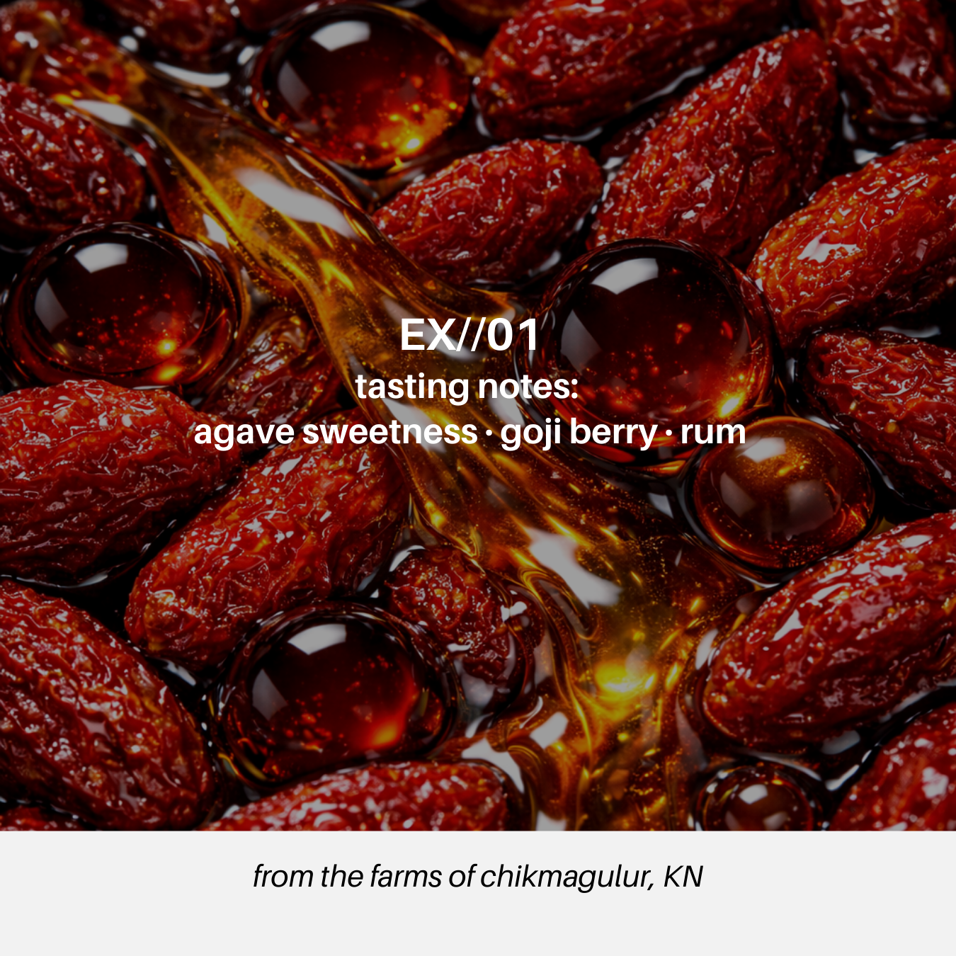 EX//01 — Experimental