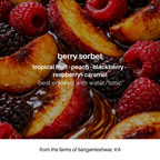 berry sorbet
