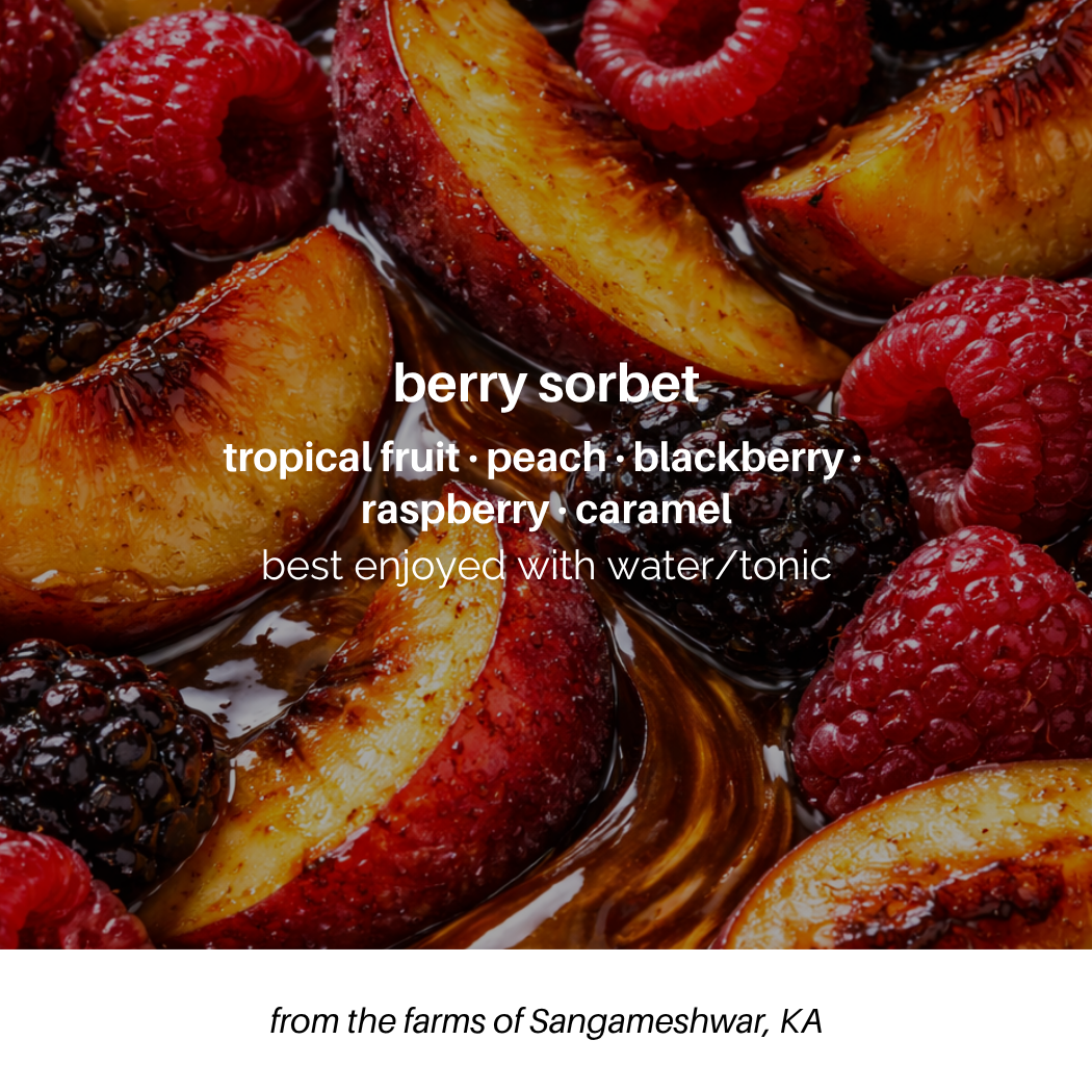 berry sorbet