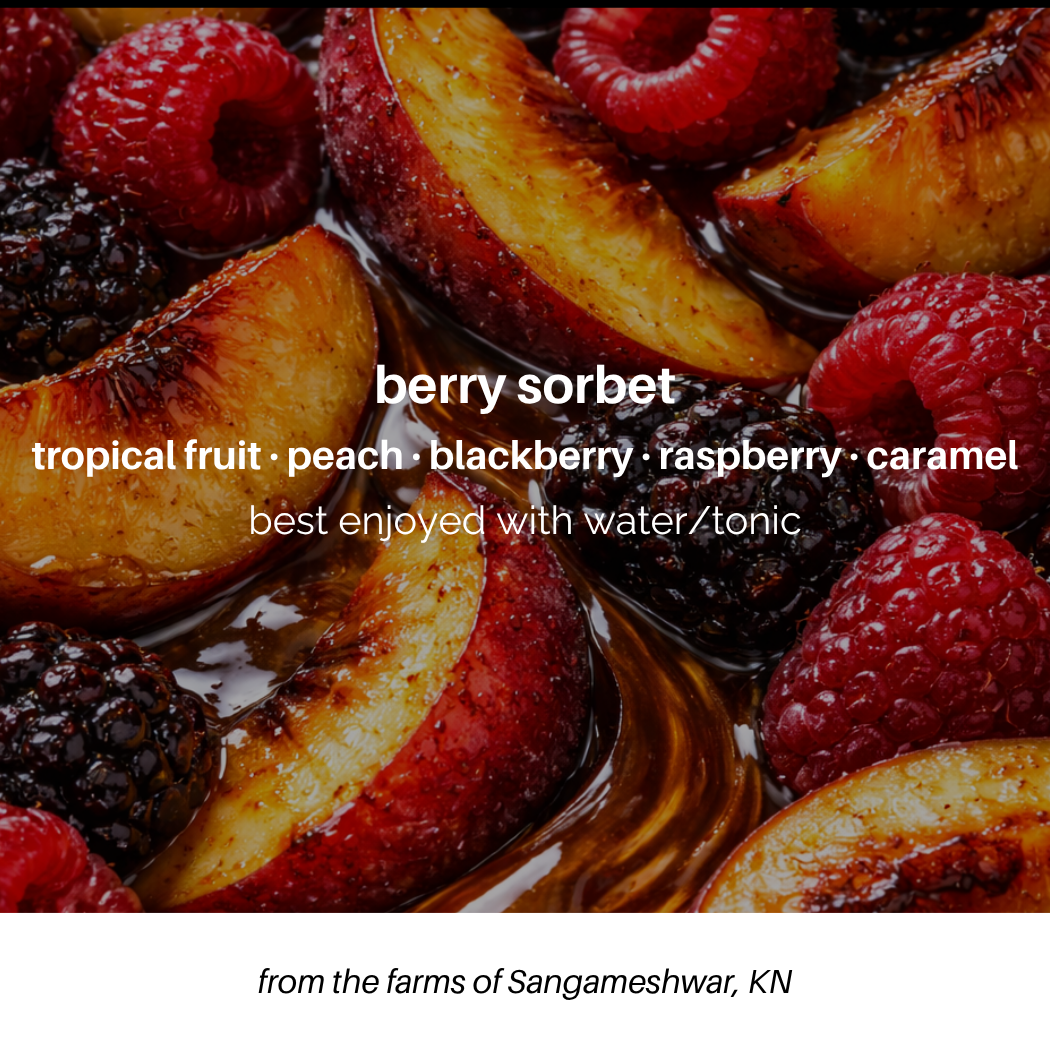 Berry Sorbet