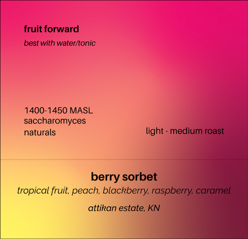 Berry Sorbet