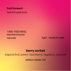 berry sorbet
