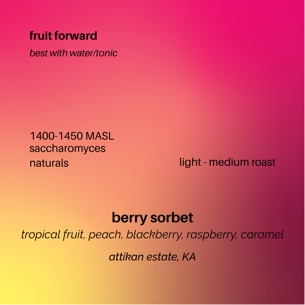 berry sorbet